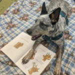 Read with Josey
