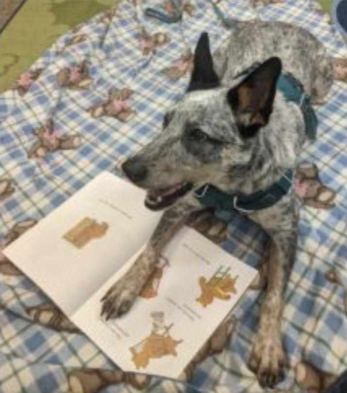 Read with Josey