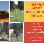 “Learn with Horses”