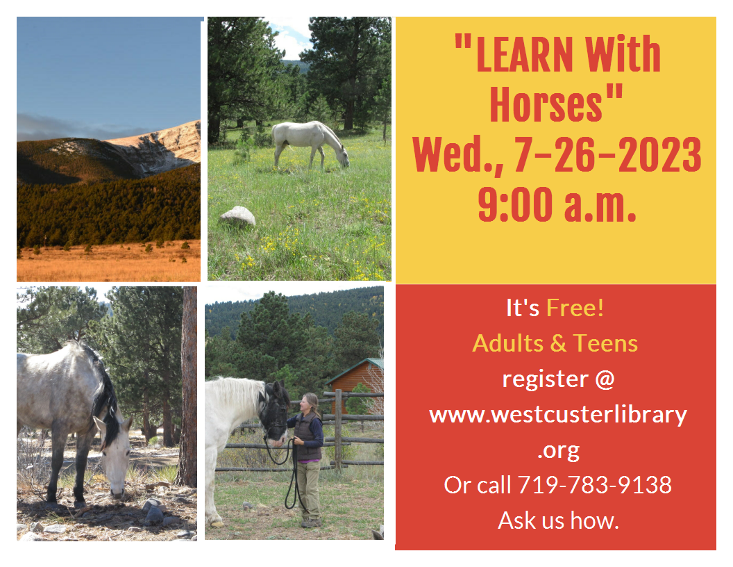 “Learn with Horses”