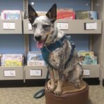 Read with Josey