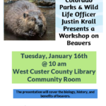 Justin Krall Beaver Presentation
