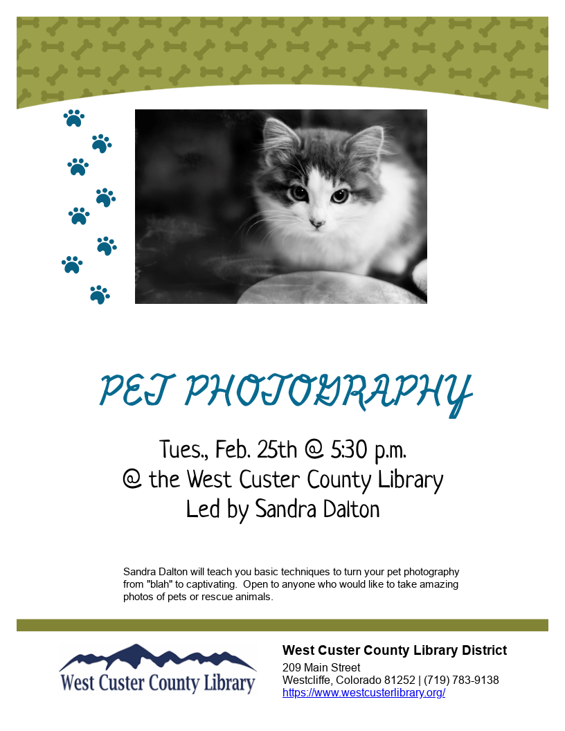 Pet Photography