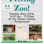 Summer Reading Program: Petting Zoo